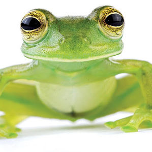 Meet your Posher, Sam